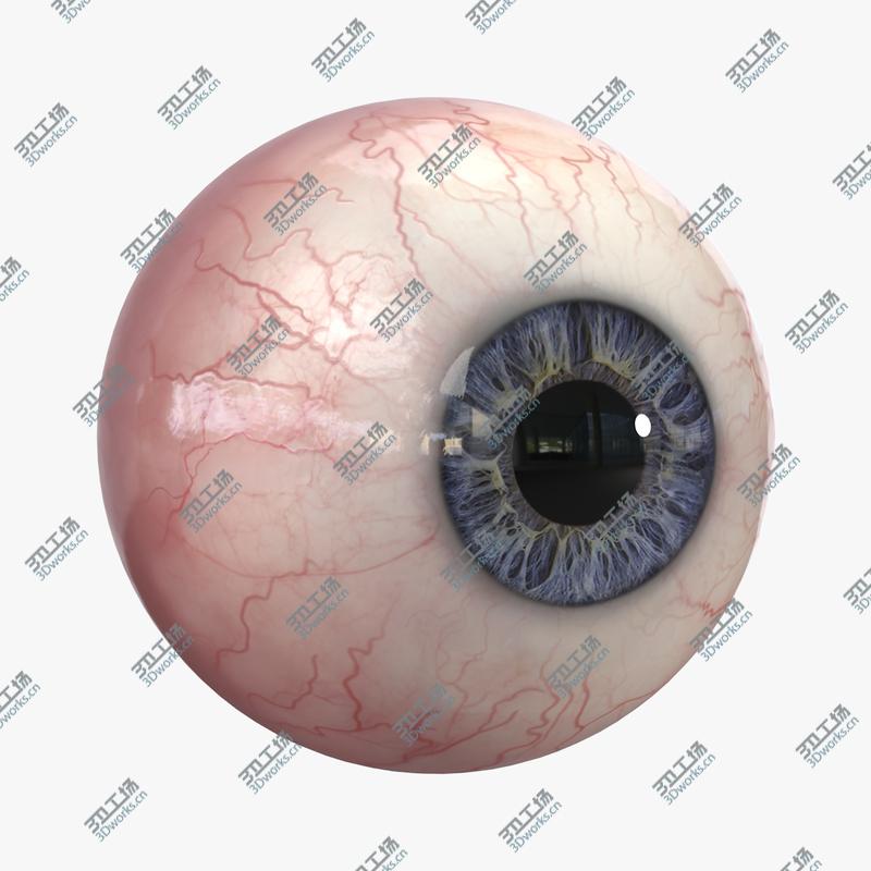 images/goods_img/20210319/Realistic Human Eye/1.jpg